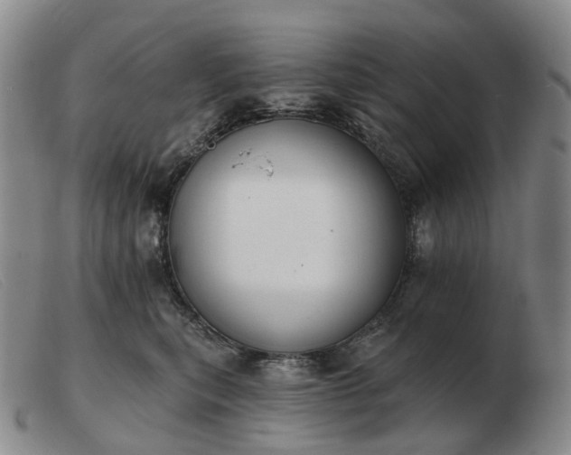 X0000103470567200809191838