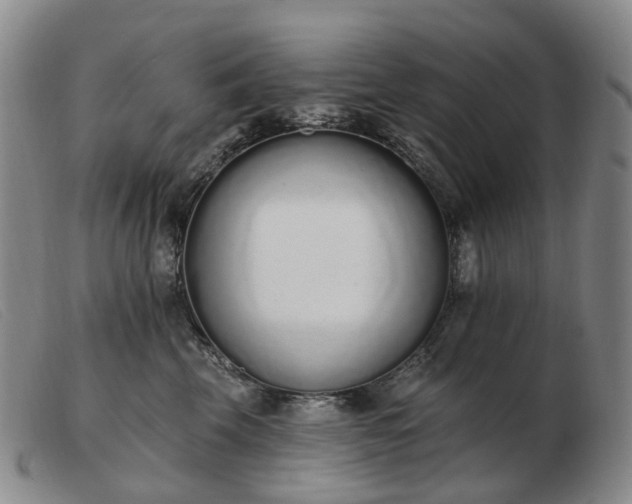 X0000103470569200809191838