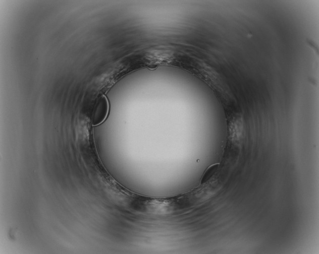 X0000103470570200809191838