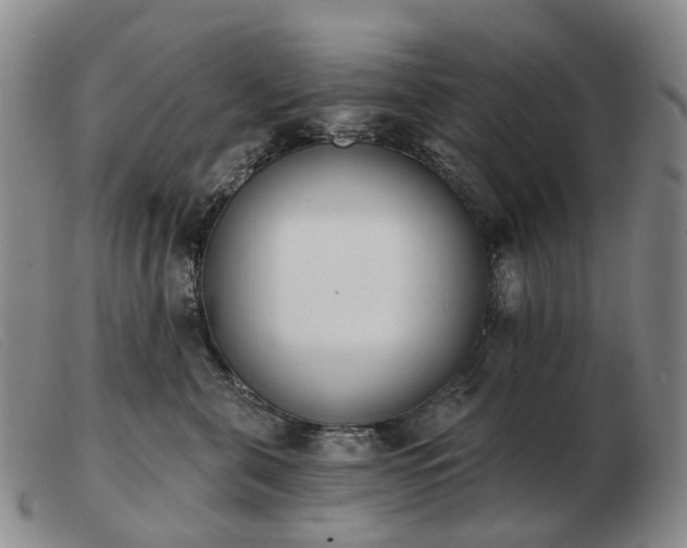 X0000103470571200809191838