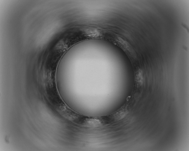 X0000103470572200809191838