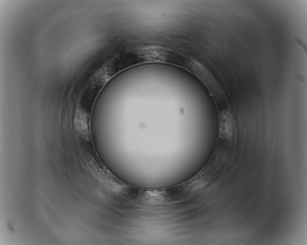 X0000103470573200809191838