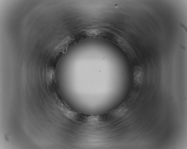 X0000103470574200809191838