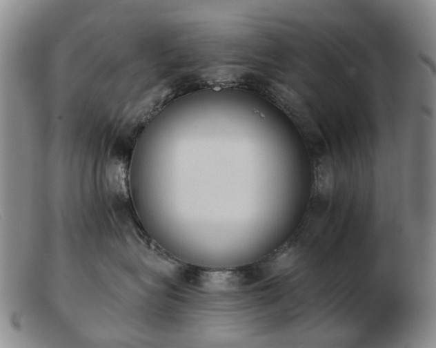 X0000103470575200809191838