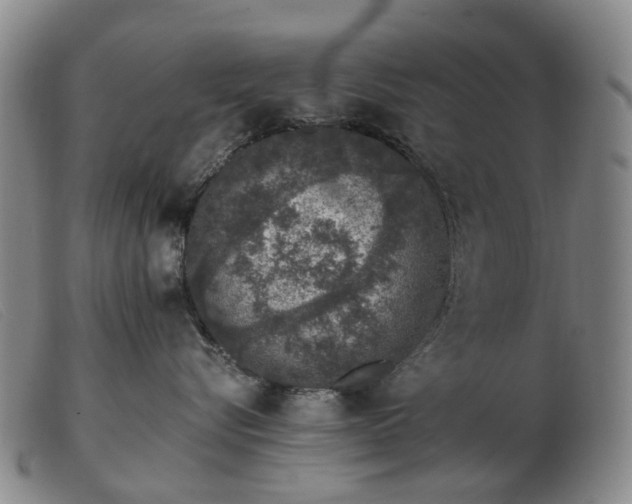 X0000103470576200809191838