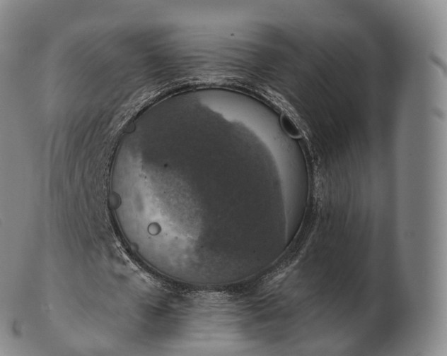 X0000103470577200809191837