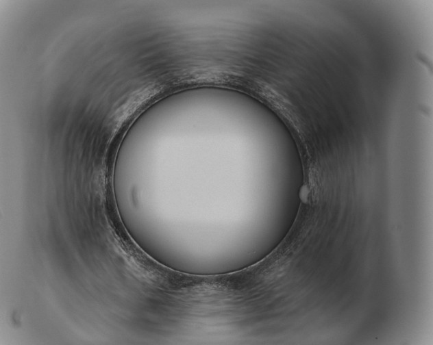 X0000103470578200809191837