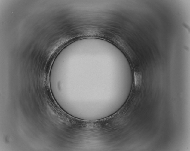 X0000103470579200809191837