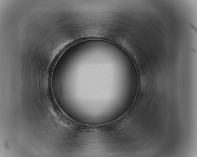 X0000103470580200809191837