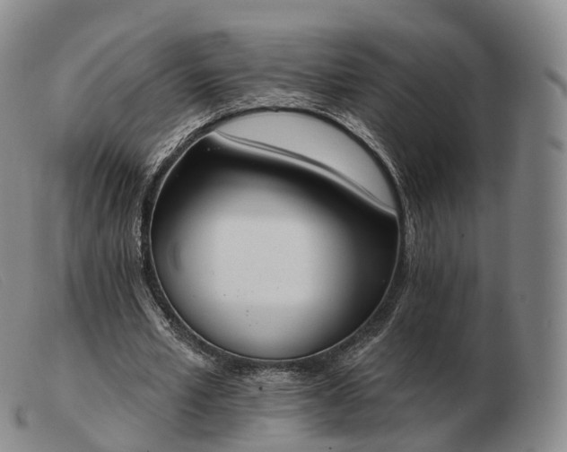 X0000103470581200809191837