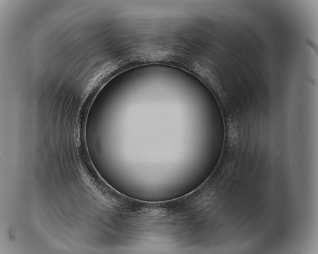 X0000103470582200809191837