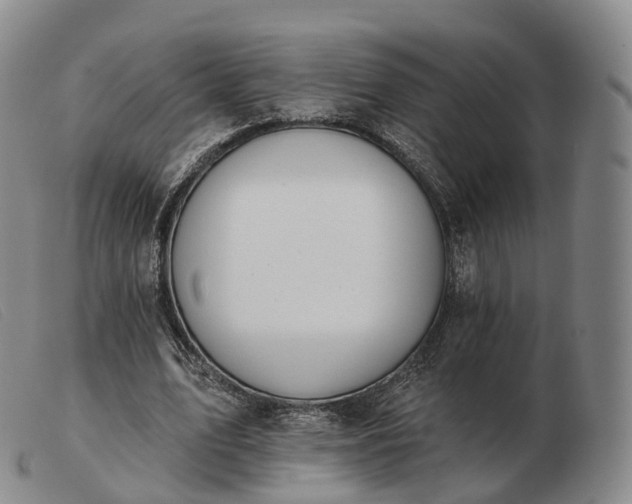 X0000103470583200809191837