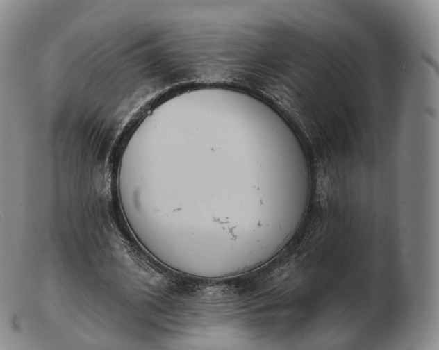 X0000103470584200809191837