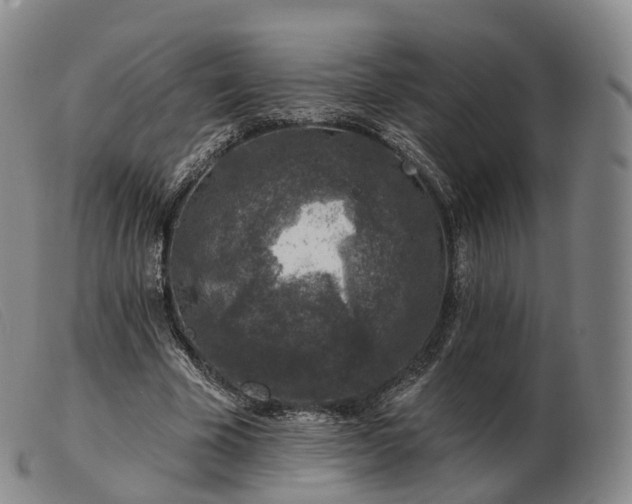 X0000103470585200809191837