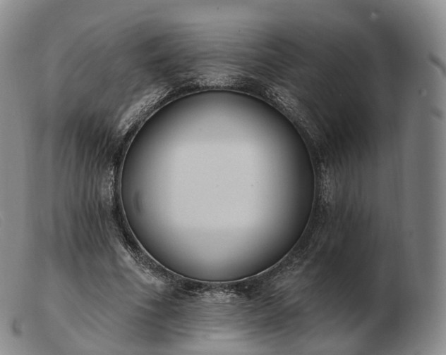 X0000103470586200809191837