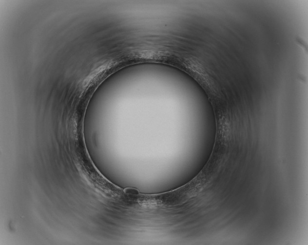 X0000103470587200809191837