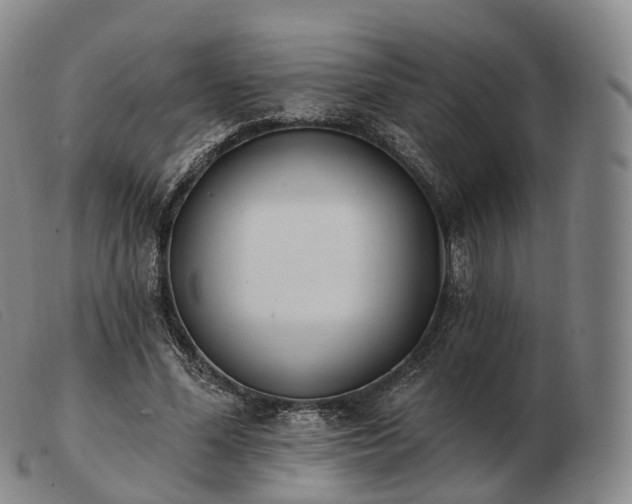 X0000103470588200809191837