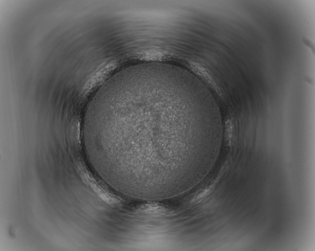 X0000103470589200809191837