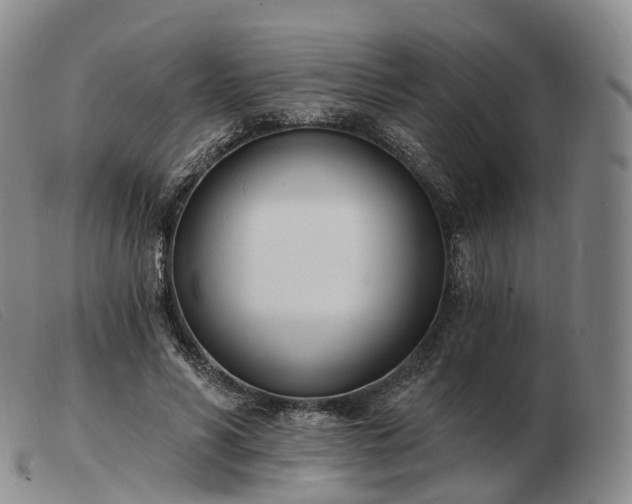 X0000103470590200809191837