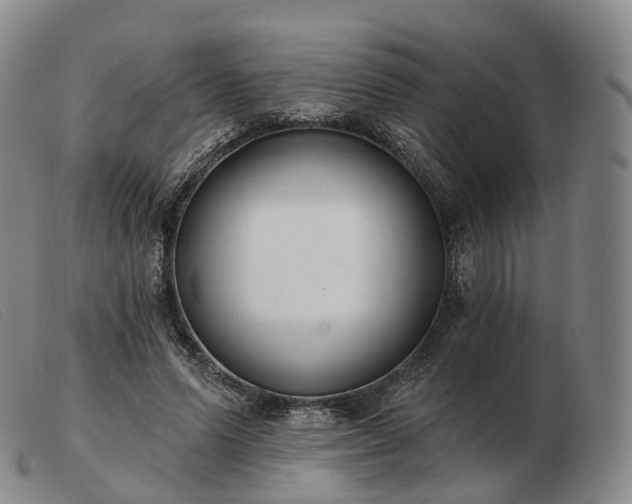 X0000103470591200809191837