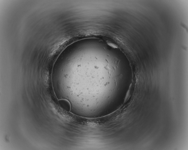 X0000103470592200809191837