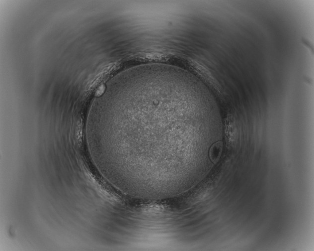 X0000103470593200809191837