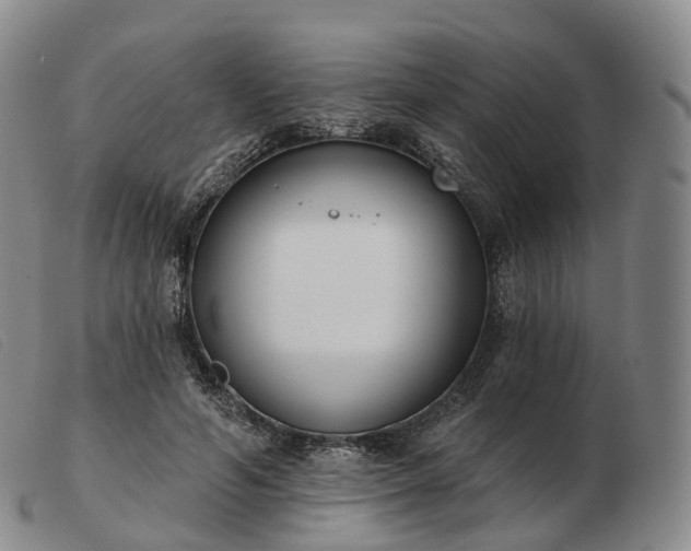 X0000103470594200809191837