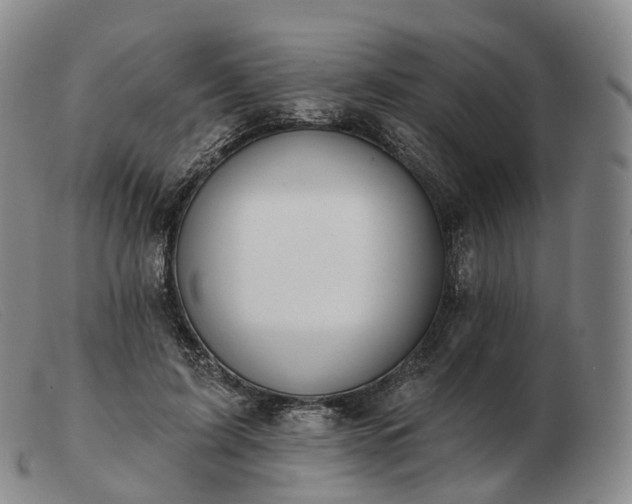 X0000103470595200809191837