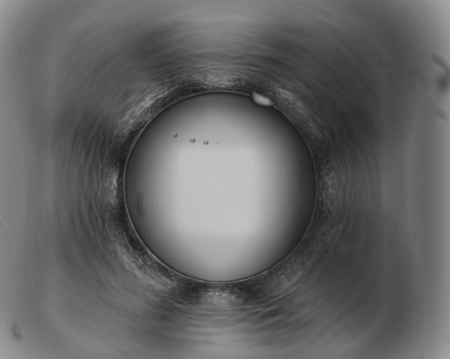 X0000103470596200809191837