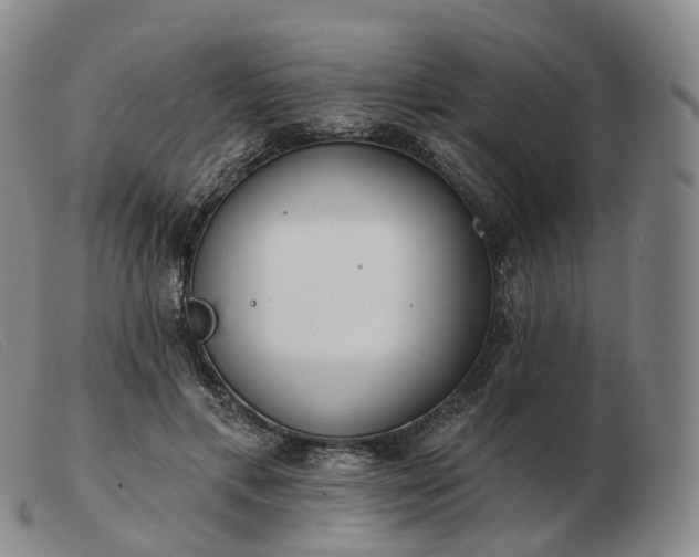 X0000103470597200809191837