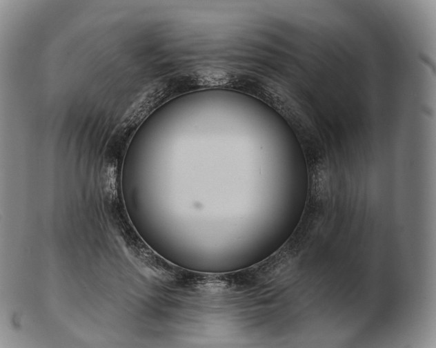 X0000103470598200809191837