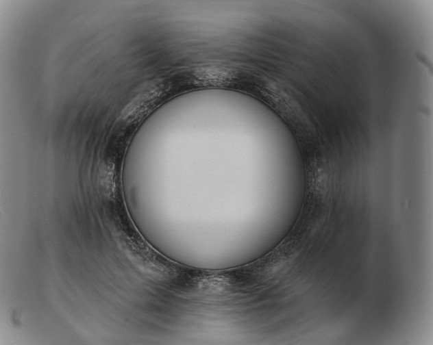 X0000103470599200809191837