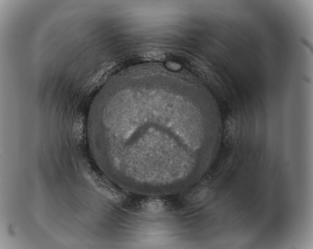 X0000103470600200809191837