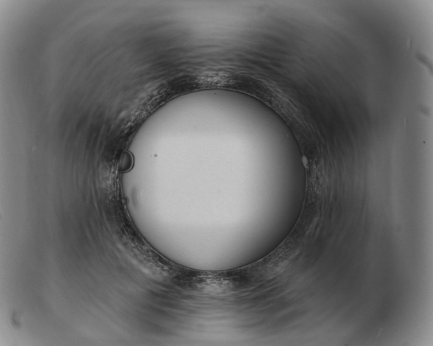 X0000103470601200809191837