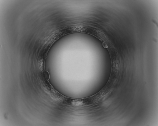 X0000103470602200809191837