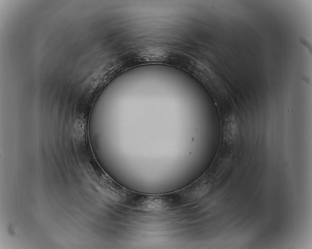 X0000103470604200809191837