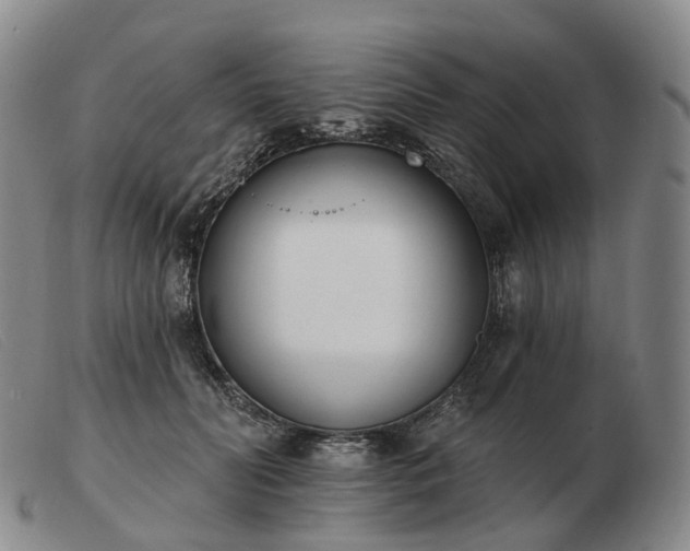 X0000103470606200809191837