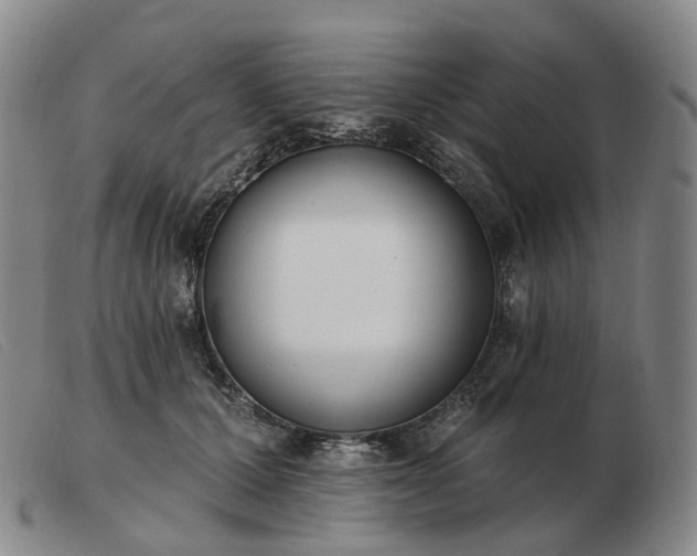 X0000103470607200809191837