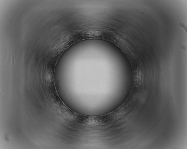 X0000103470608200809191837