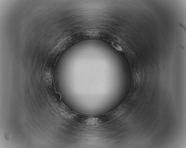 X0000103470609200809191837