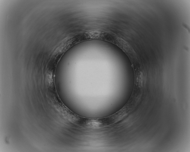 X0000103470610200809191837