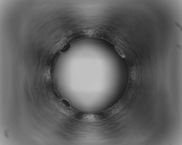 X0000103470611200809191837