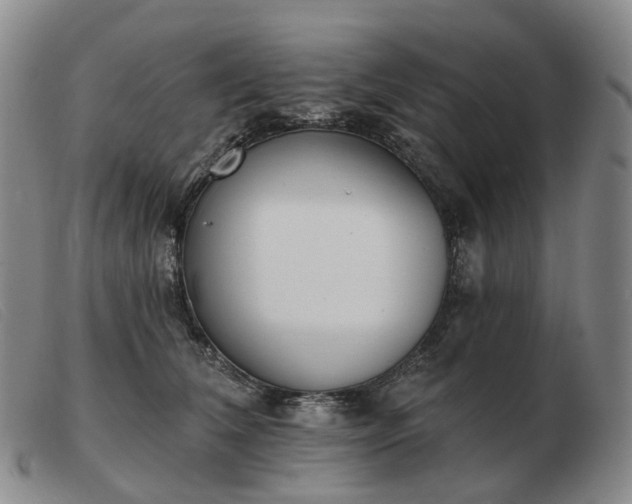 X0000103470612200809191837