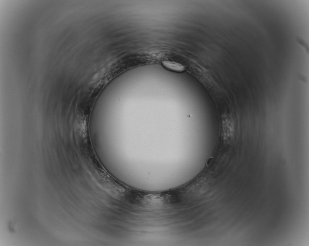 X0000103470613200809191837