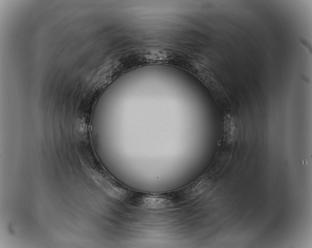 X0000103470614200809191837