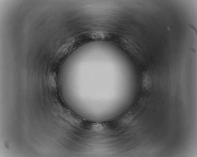 X0000103470616200809191837