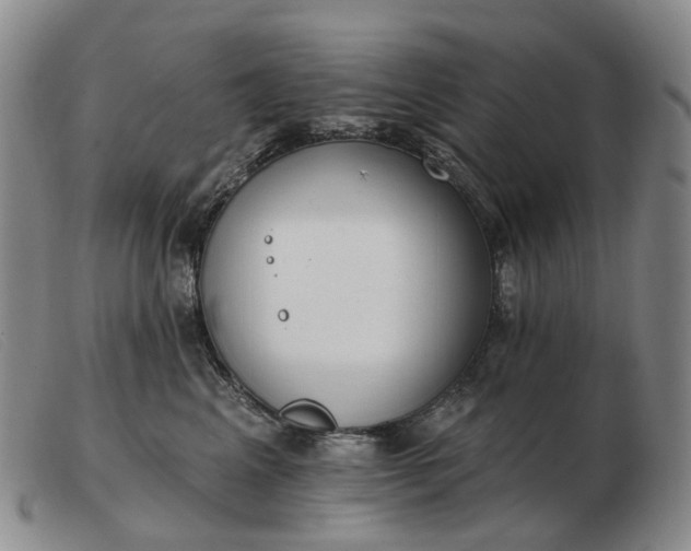 X0000103470617200809191837