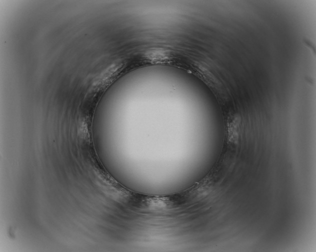 X0000103470618200809191837