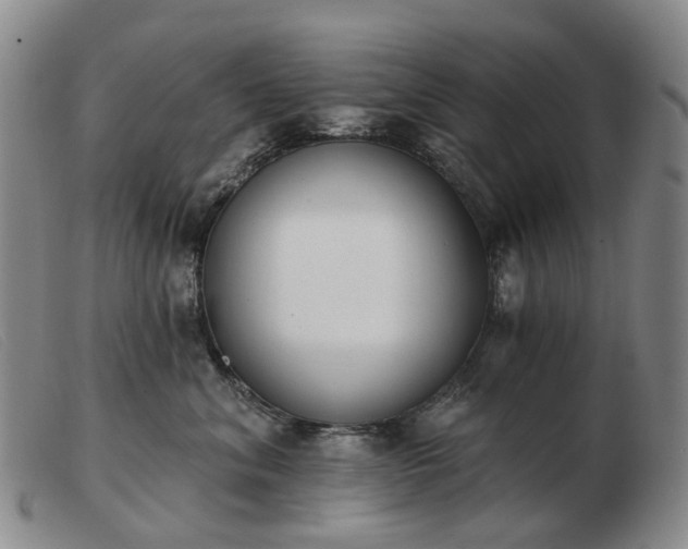 X0000103470620200809191837