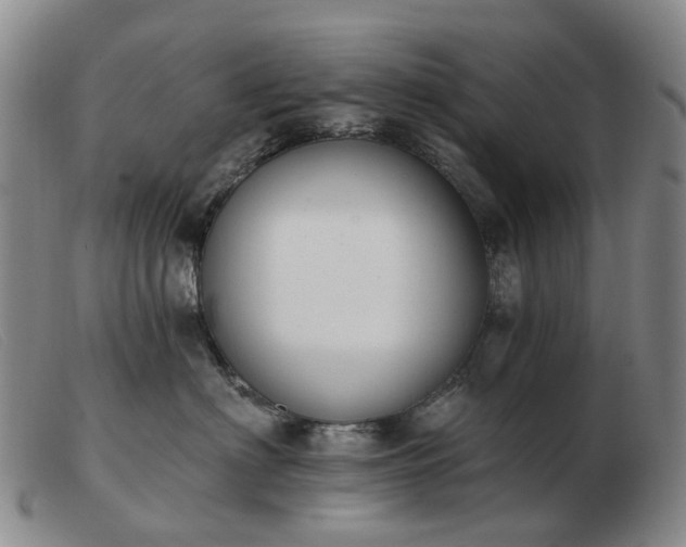 X0000103470622200809191837